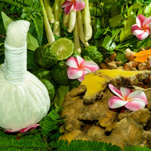 Pioneering Natural Wellness with 100% Vegan Products