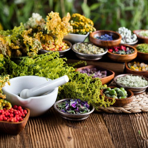 Must-Have Herbal Cosmetics for Your Daily Routine